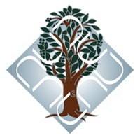 Dr. B. R. Ambedkar University Delhi Logo